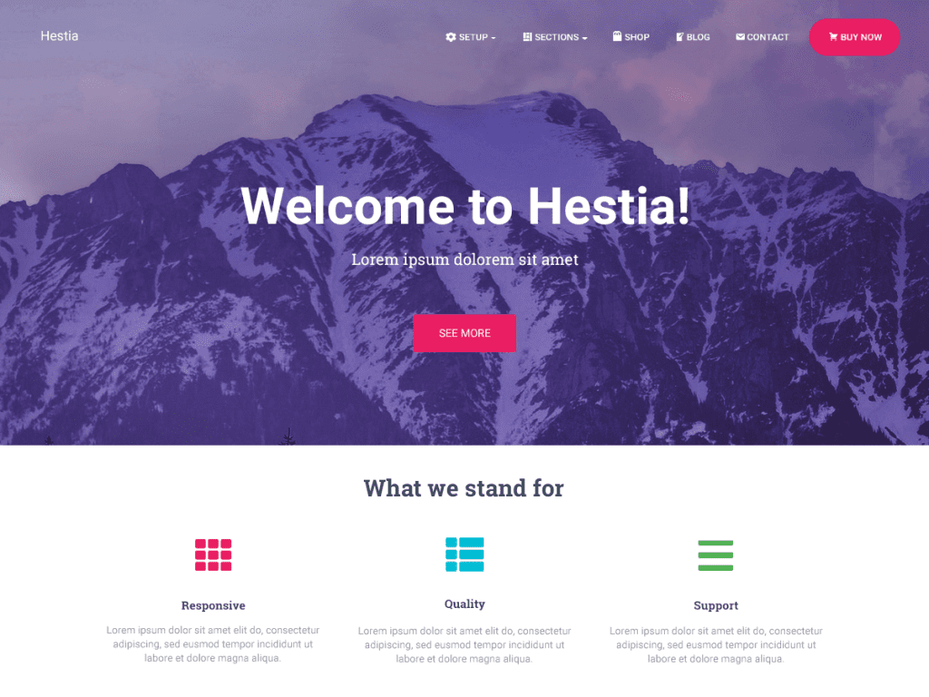 Hestia Pro 汉化中文版|初创企业WordPress轻量主题模板-极客小站