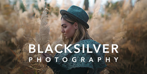 Blacksilver 汉化中文版|专业摄影照片展示博客WordPress主题-极客小站