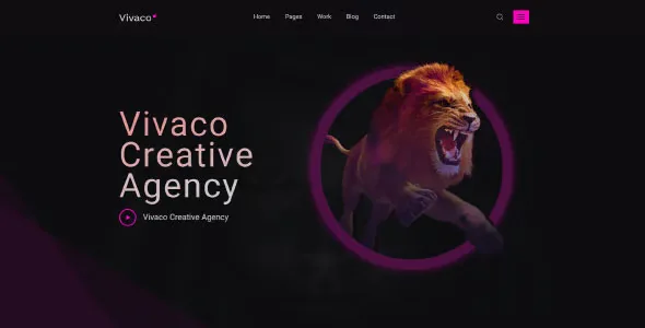 Vivaco 英文专业版|多功能自定义设计轻量WordPress主题-极客小站