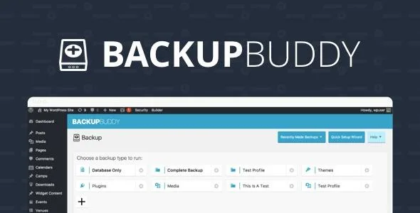 BackupBuddy 汉化中文版|网站一键备份还原高级WordPress插件-极客小站