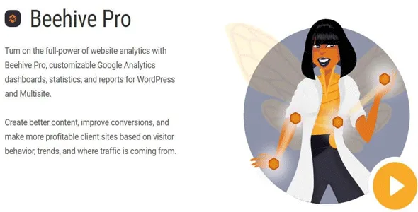 Beehive Pro 汉化中文版|Google Analytics谷歌分析自定义高级设置插件-极客小站