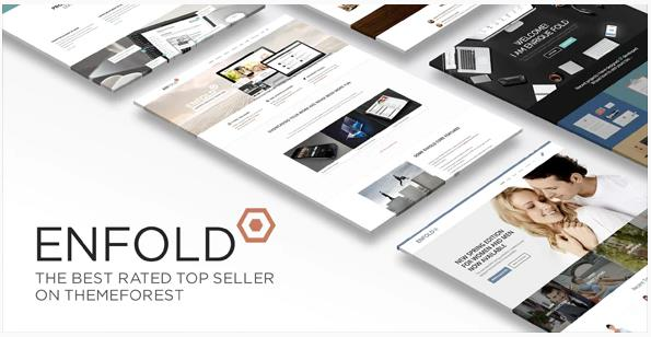 Enfold 完美汉化中文版|多用途自定义商业商店WordPress企业主题模板-极客小站