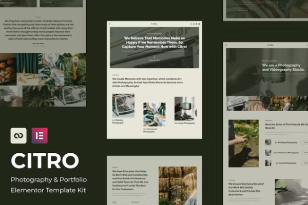 Citro – 摄影和 Portolio Elementor 模板套件-极客小站
