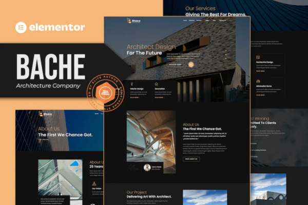 Bache – 建筑公司 Elementor 模板套件-极客小站