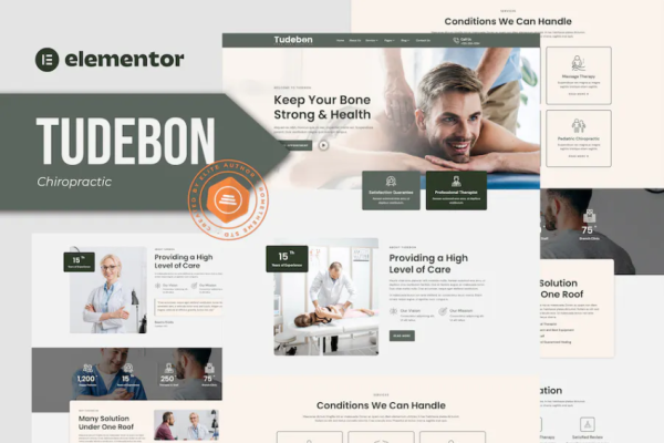 Tudebon – 脊椎按摩疗法和物理疗法 Elementor 模板套件-极客小站