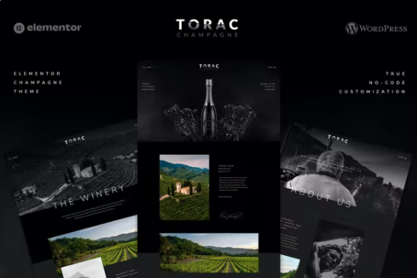 Torac – Champagne Elementor 模板套件-极客小站