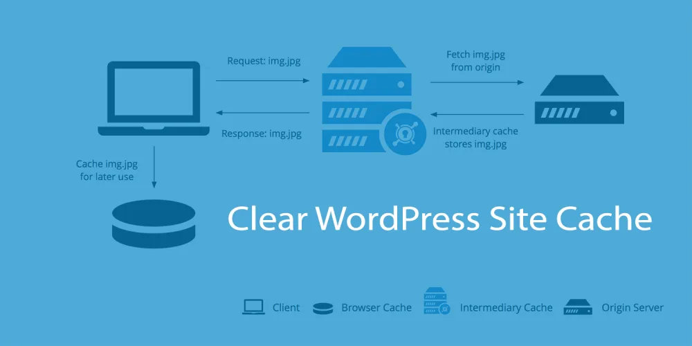 如何清除WordPress网站缓存-极客小站