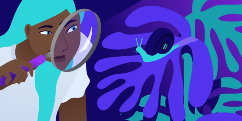 为什么WordPress慢？让我们弄清楚问题的根源！-极客小站