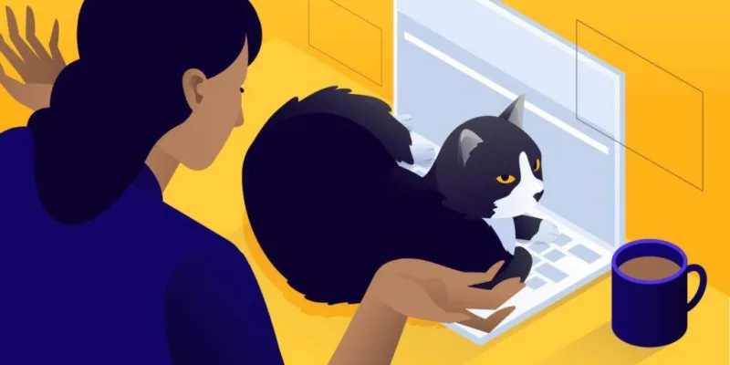 如何禁用WordPress评论留言功能-极客小站