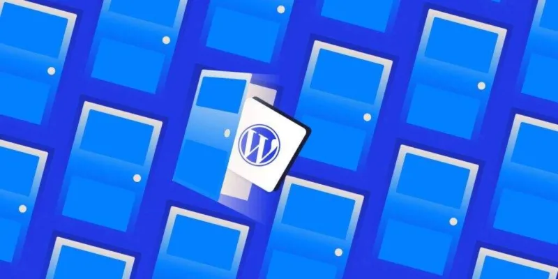 为无头WordPress选择合适的服务器托管解决方案-极客小站