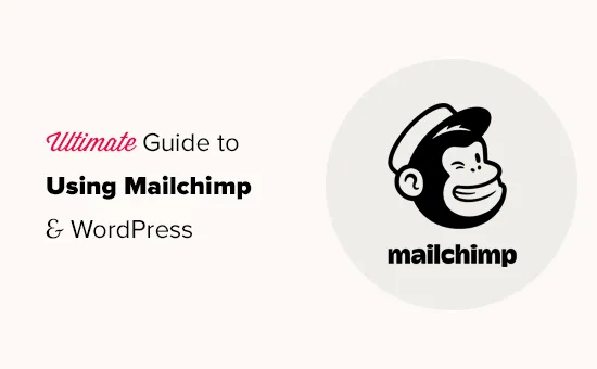 WordPress外贸网站必备之Mailchimp邮件订阅插件终极教程-极客小站