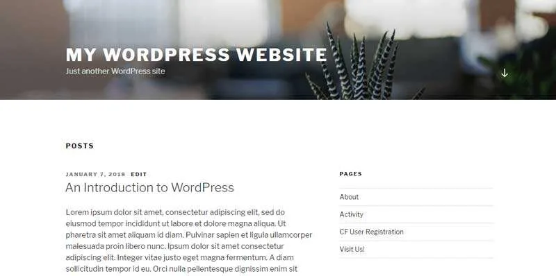 WordPress网站自定义首页教程-极客小站