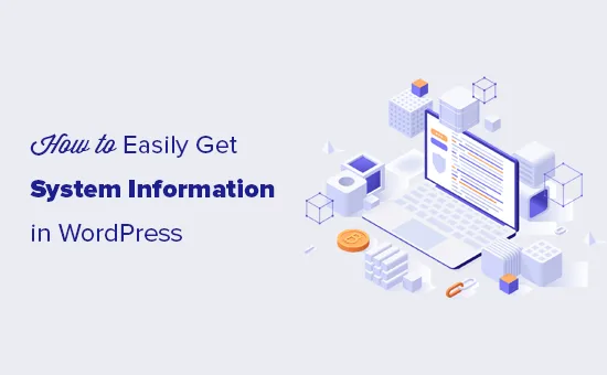 如何快速获取WordPress网站服务器系统信息-极客小站