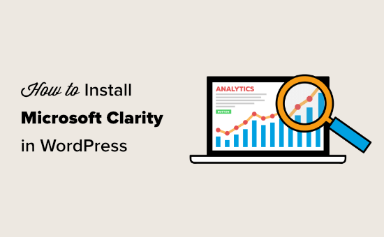 WordPress网站安装微软数据分析Clarity图文教程-极客小站