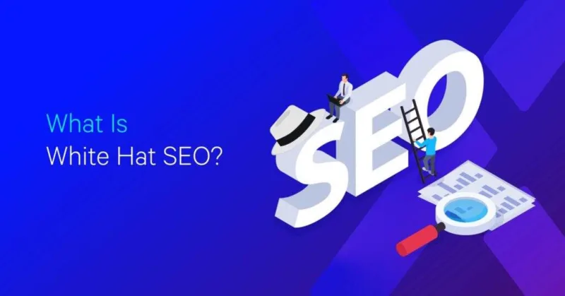 什么是白帽SEO技术及最常见的做法-极客小站