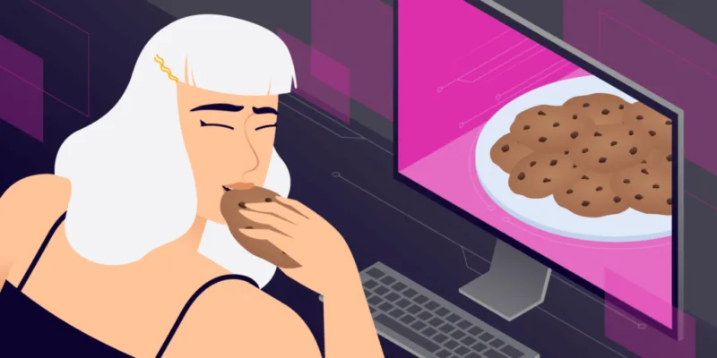 WordPress Cookies和PHP会话——你需要知道的一切-极客小站