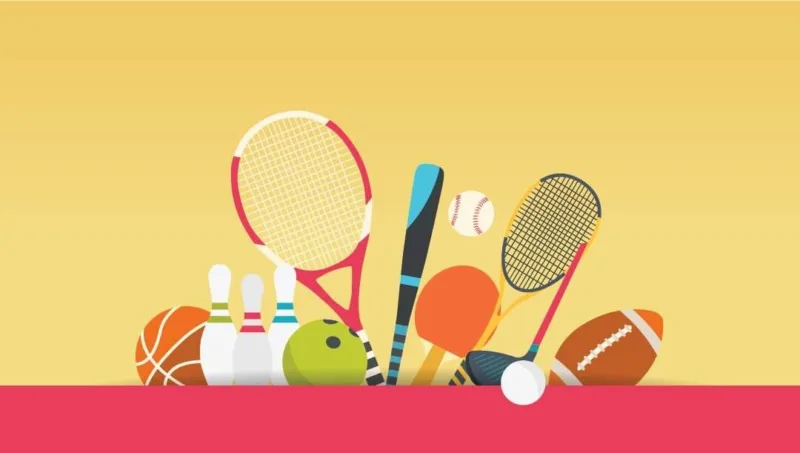 6个WordPress网站体育运动主题插件推荐-极客小站