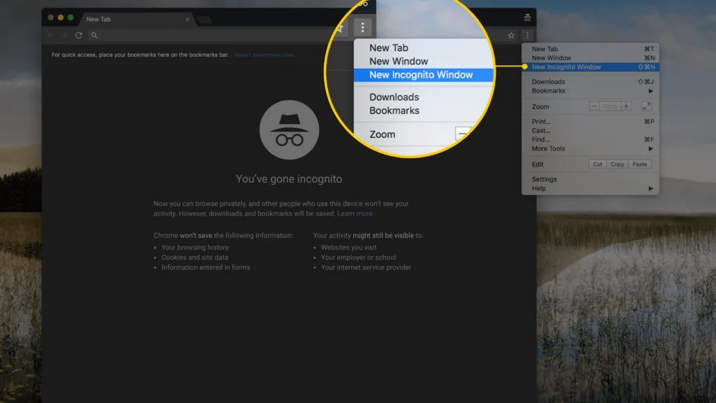 隐身模式（Incognito Mode） – 隐私浏览是真的私密吗？-极客小站