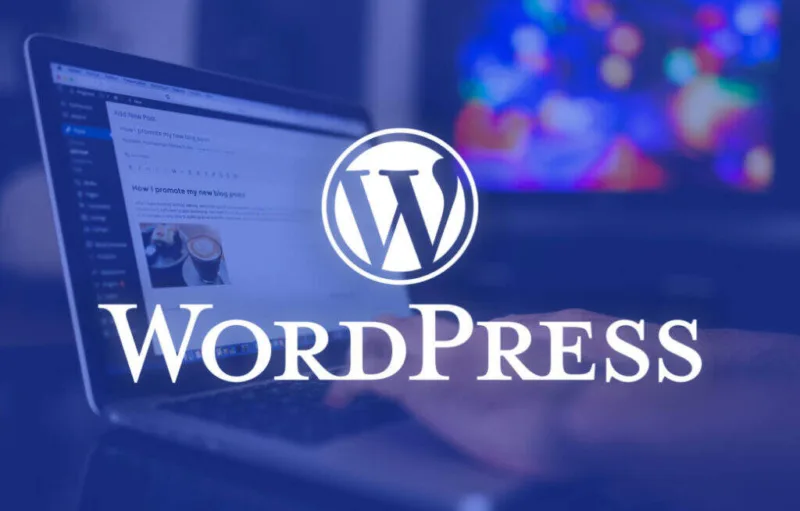 WordPress 5.9新功能预告：主要推动全站点编辑及新的默认主题-极客小站