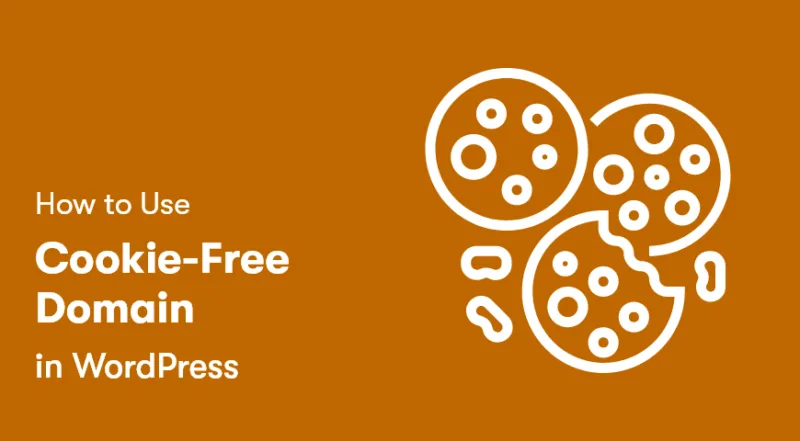 如何使用无Cookie的域名的完整指南-极客小站