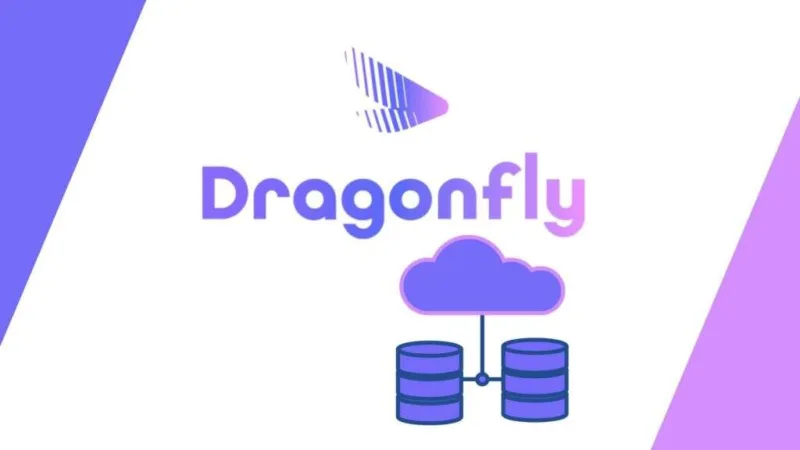 安装DragonflyDB内存数据存储以提升网站性能-极客小站