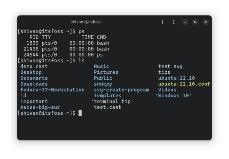 完美适配Linux终端的10种漂亮的字体-极客小站
