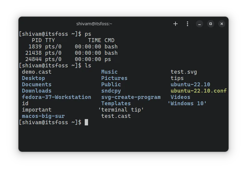 完美适配Linux终端的10种漂亮的字体-极客小站
