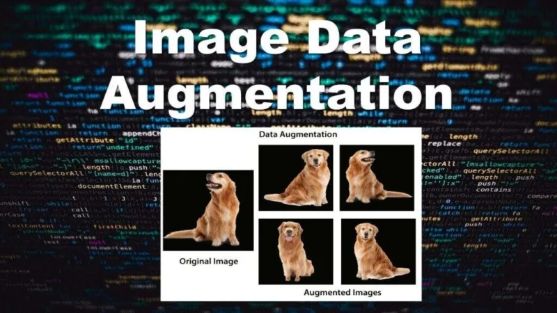 顶级数据增强技术的终极指南-极客小站
