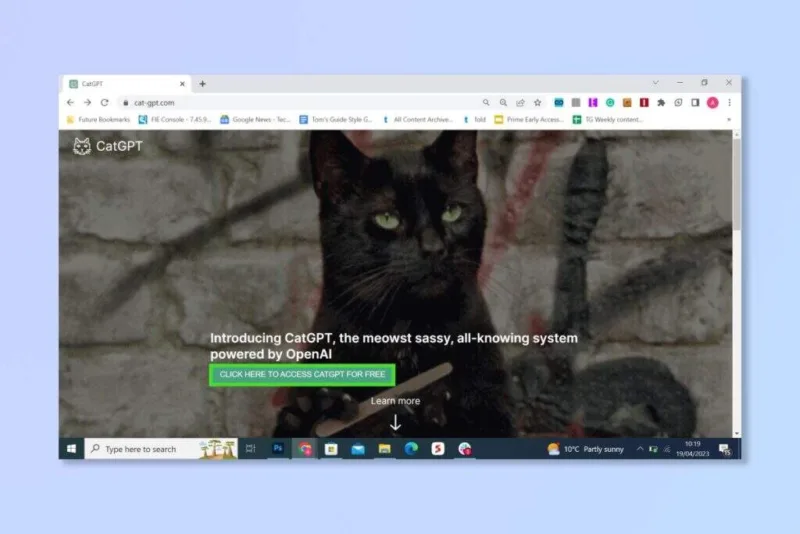 CatGPT：恶搞版ChatGPT-当喵星人统领AI领域-极客小站