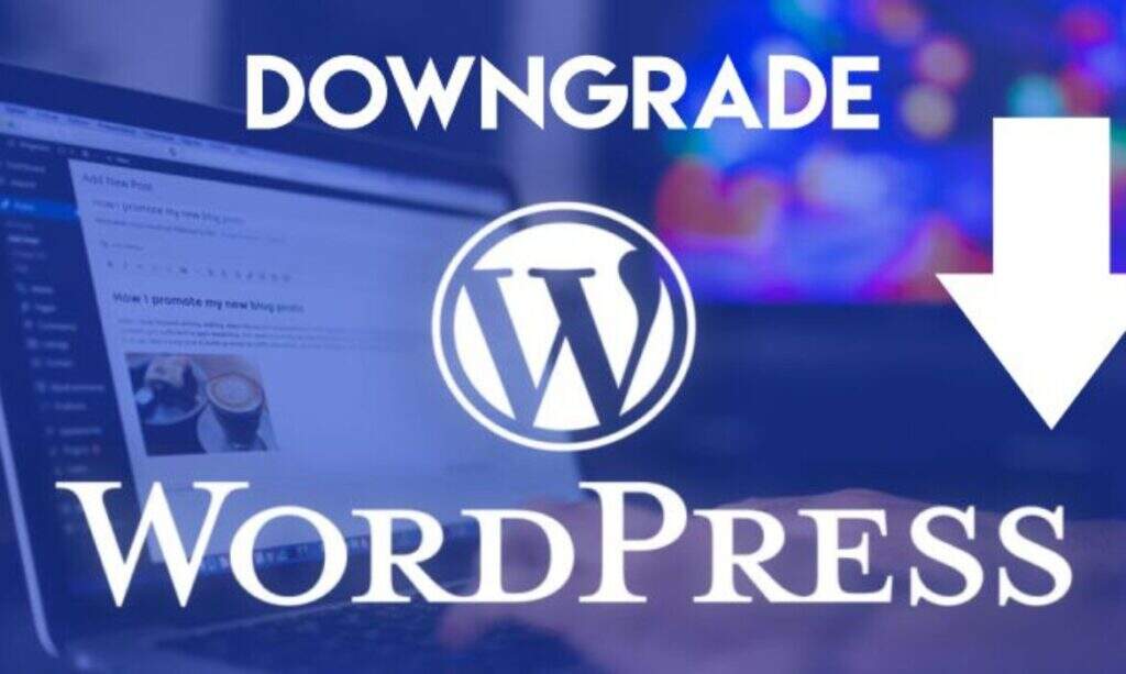 如何实现WordPress网站降级（用于解决插件和主题问题）-myforexstore