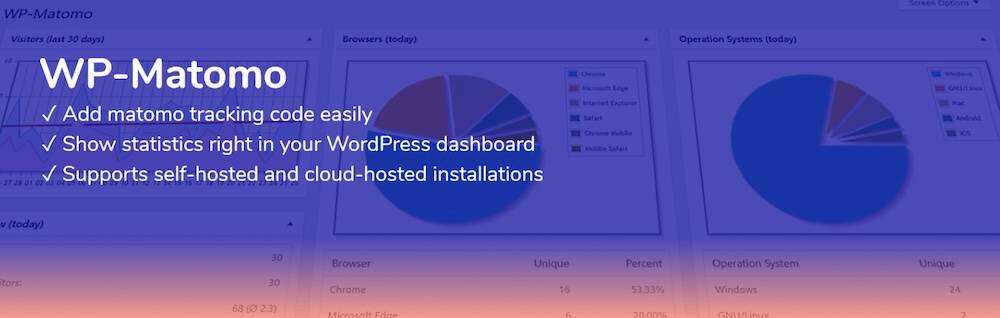 图片[1]-使用Matomo取代Google Analytics 4-极客小站