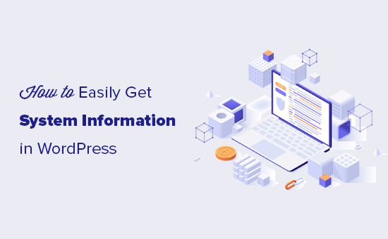 如何快速获取WordPress网站服务器系统信息-myforexstore