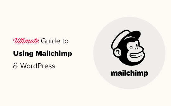 WordPress外贸网站必备之Mailchimp邮件订阅插件终极教程-myforexstore